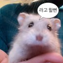 리본스토어