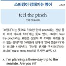 feel the pinch (돈에 쪼들리다) 이미지