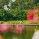 마카오PC 이미지