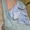 한빛파트너스 | 침대에 깔기만 해도 차가워진다, 냉감패드 실제 사용 후기