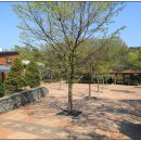 일산동 일산소공원 이미지