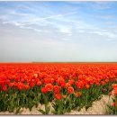 유태네 농장 이미지