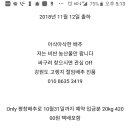 평창 고랭지절임배추 이미지