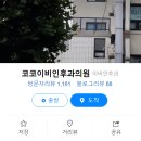 모식외과의원 | 여자 남자 탈모 국내 유명 의사 교수 병원 리스트