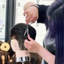 헤어미용(자격증) 이미지