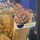 일랑일랑 이미지