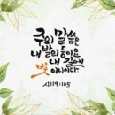 에클레시아 이미지