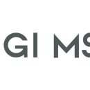 지아이엠에스오