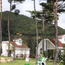 달음산자연휴양림 이미지