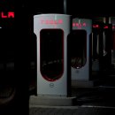 테슬라(TSLA) 주가와 환율 변동, 미래가치 분석 및 투자 전략