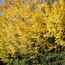 중앙공원3 교차로 이미지