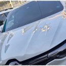 우성자동차 이미지