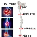바른피티 이미지