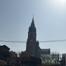 조원동 주교좌성당 앞 | [명동 성당 뷰 카페] 파인즈 pines 야외 테라스 명동성당 &amp; 남산타워 뷰