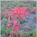 털보회관 이미지