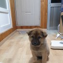 동진동물병원 이미지