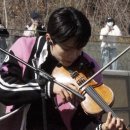 나의 사계 이미지