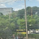 스타벅스천안안서점 이미지