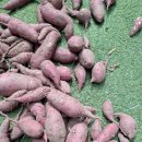 깜빡 깜빡해 지송합니다 이미지