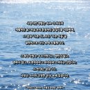 1079 | 사랑 명상 1079