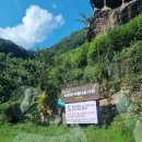 도심다원 | [하동여행] (3) 차밭뷰가 넘 예쁜 도심다원 후기