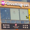 그루밍031 이미지