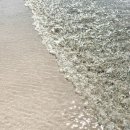 어 타이니 리틀피스 이미지