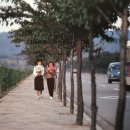 1980년대 농촌 풍경 이미지