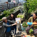 동대문상가B동 이미지