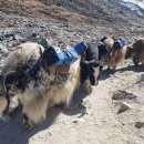 베이스캠프 이미지