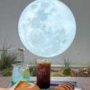 몽구 | 울산 대형카페 몽구도원 분위기 좋은 울주군 베이커리 카페