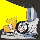 티브이씨