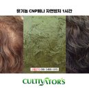 자연헤나염색샵