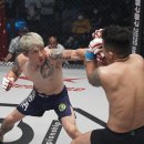 마석 강무 체육관 이미지