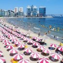 광안리해수욕장 7월 1일 개장…드론쇼·비치발리볼·문화행사 풍성 이미지