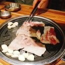 차돌풍 - 동대문구 | 차돌풍