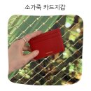 중앙피혁 | 세련된 디자인과 견고한 품질로 일상의 품격을 높여주는 버밀란 소가죽 카드지갑 사용 후기