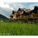 물소리새소리펜션 이미지