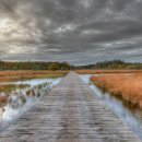 아트피아 골프클럽 이미지