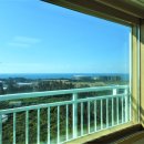 서귀포 클래식 이미지