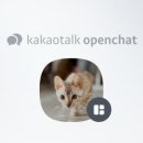 빙글뱅글캐터리 이미지