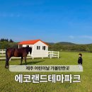 에코힐링 | 제주 어린이날 행사 가볼만한곳 에코랜드 테마파크 기차 소요시간 국내 가족여행지