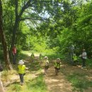 반디숲어린이집 이미지