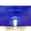 LG OLED TV 55인치 팔아요 (가격인하) 이미지