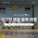 은희네식물 | 11개월 아기랑 제주여행 #16. 함덕골목, 스누피가든, 평대스낵, 오스모시스, 금박돈