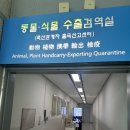 공항 동물병원 이미지