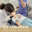 사과나무선물의집 | 일산 어린이치과 추천! <사과나무치과 주엽점> 35개월 첫 구강검진 후기