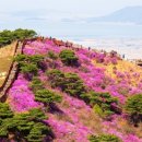 청석사