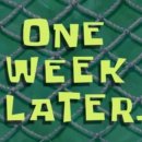 클린세탁 이미지