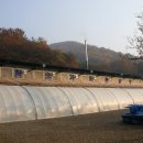 참숯가마골랜드 이미지